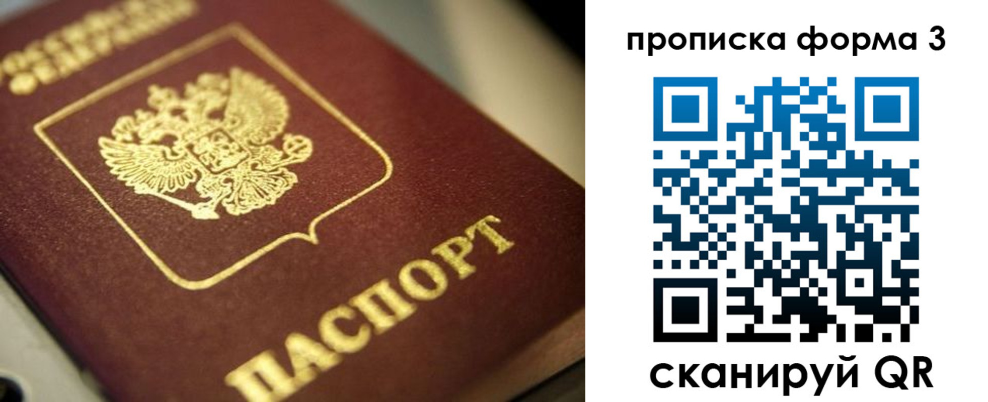 прописка для школы в Новошахтинске